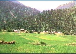 Muz Jhelum Valley